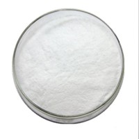 CAS: 103-90-2 Paracetamol API Raw Material/Paracetamol Powder/4-Acetamidophenol CAS: 103-90-2